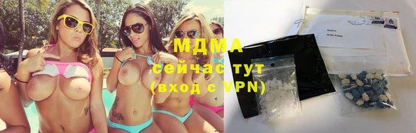 гидра Алексеевка