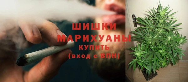 apvp Алзамай