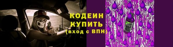 шишки Нефтегорск