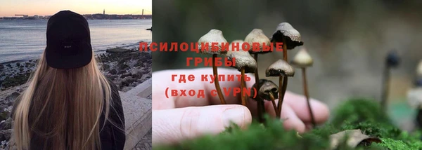 apvp Алзамай