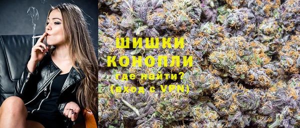 гидра Алексеевка