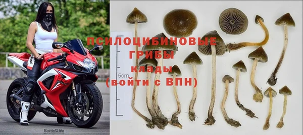 гидропоника Нея
