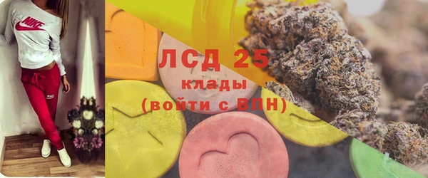 шишки Нефтегорск