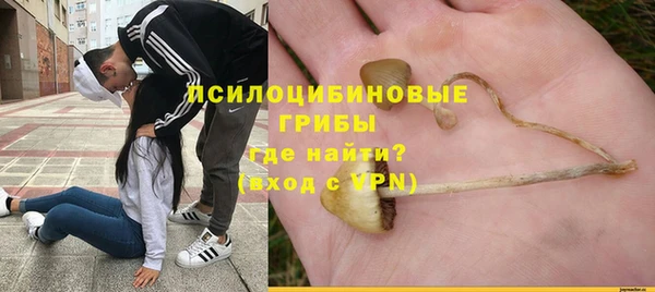 гидра Алексеевка
