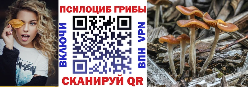 Галлюциногенные грибы MAGIC MUSHROOMS  Сосенский 
